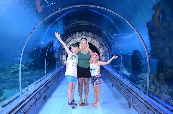 Grand Aquarium de Hurghada – photo 4