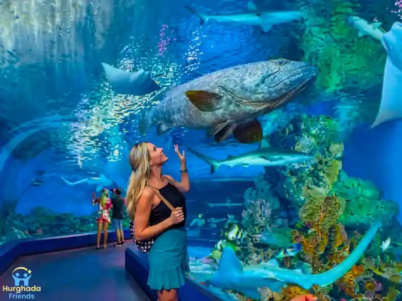 Grand Aquarium de Hurghada – excursion Hurghada