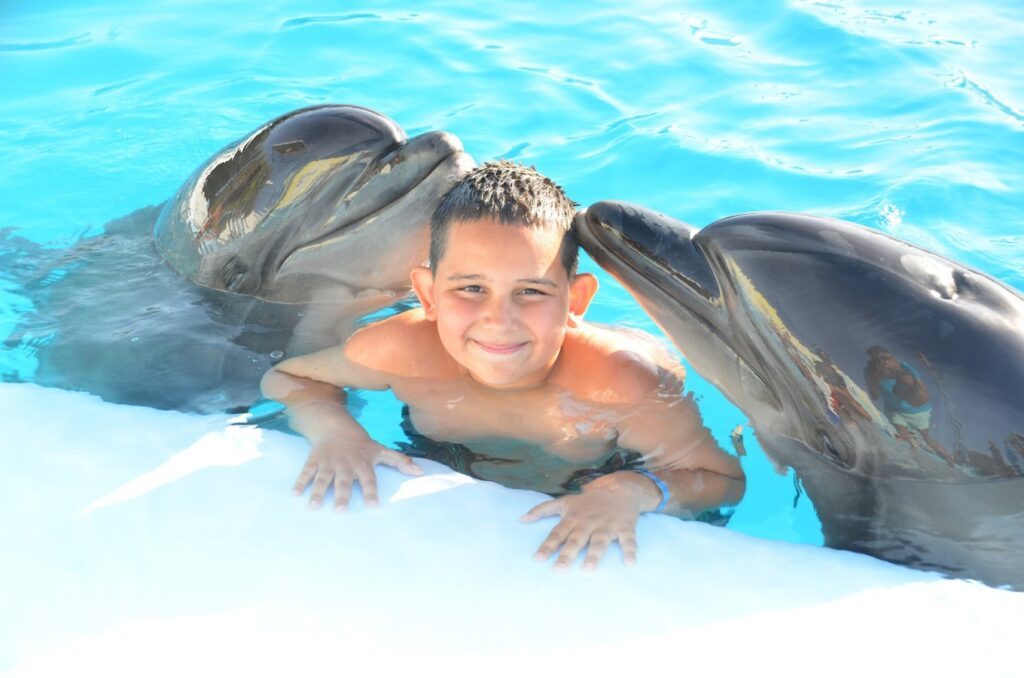 Spectacle de dauphins à Makadi – photo 4