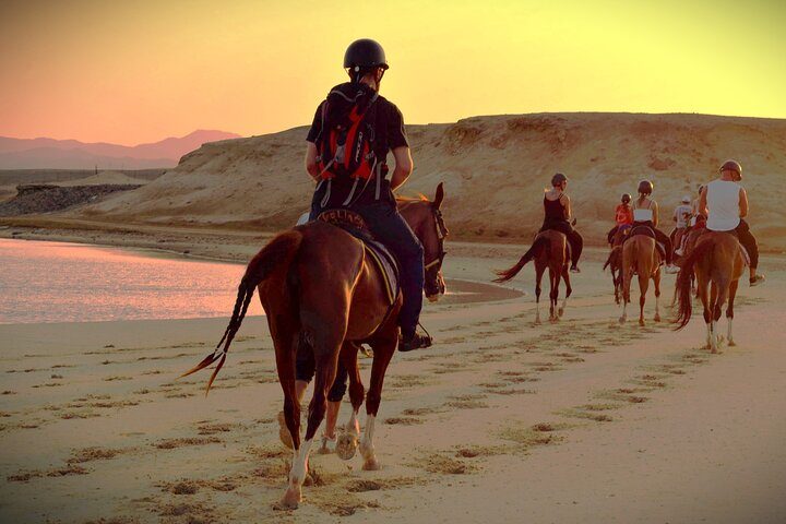 Balade à cheval dans le désert – excursion Hurghada
