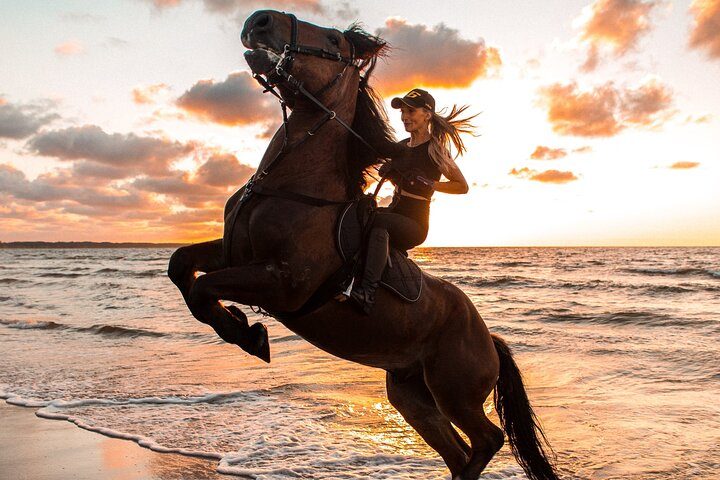 Balade à cheval au coucher du soleil sur la plage – photo 3